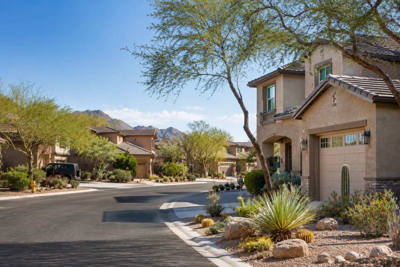 Phoenix valley residential street